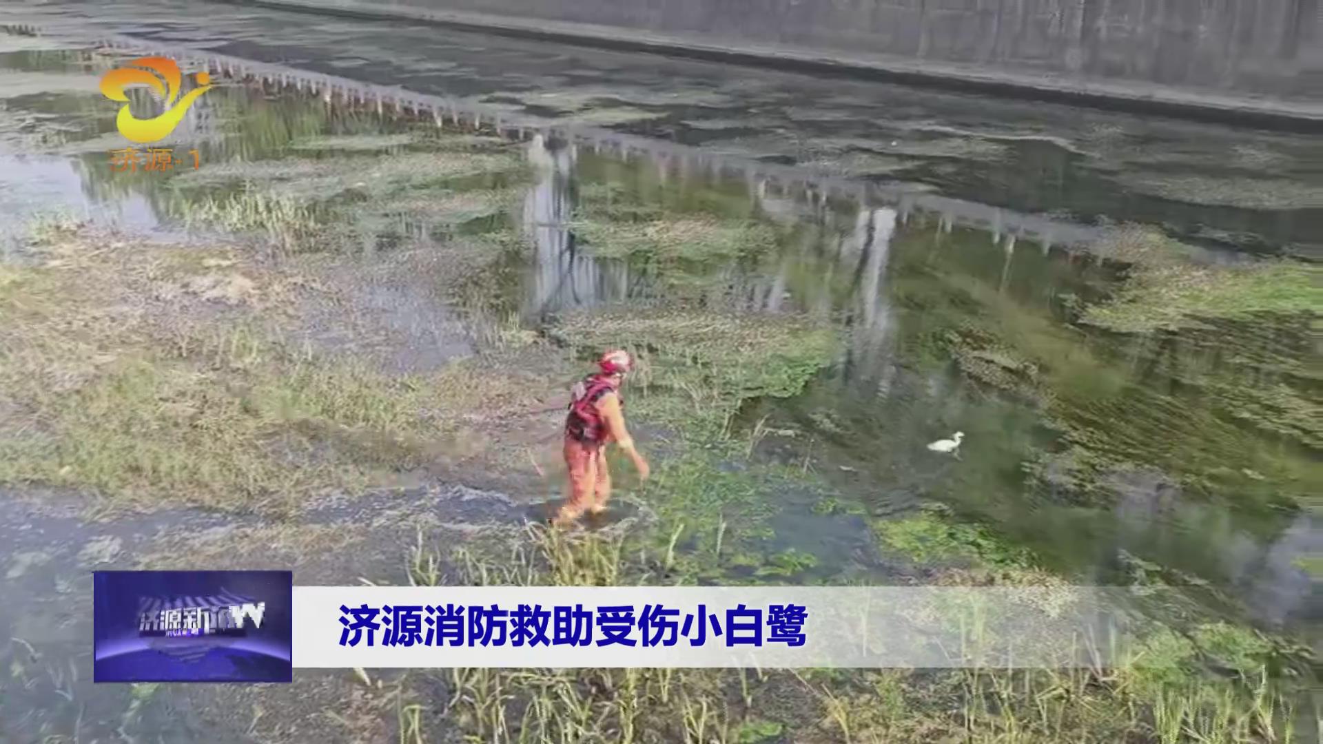 济源网