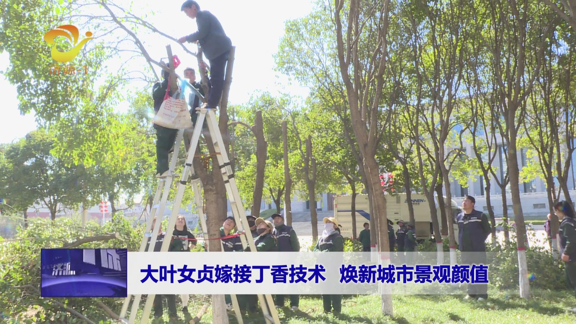 济源网