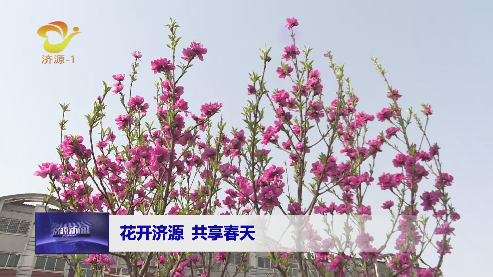 济源网