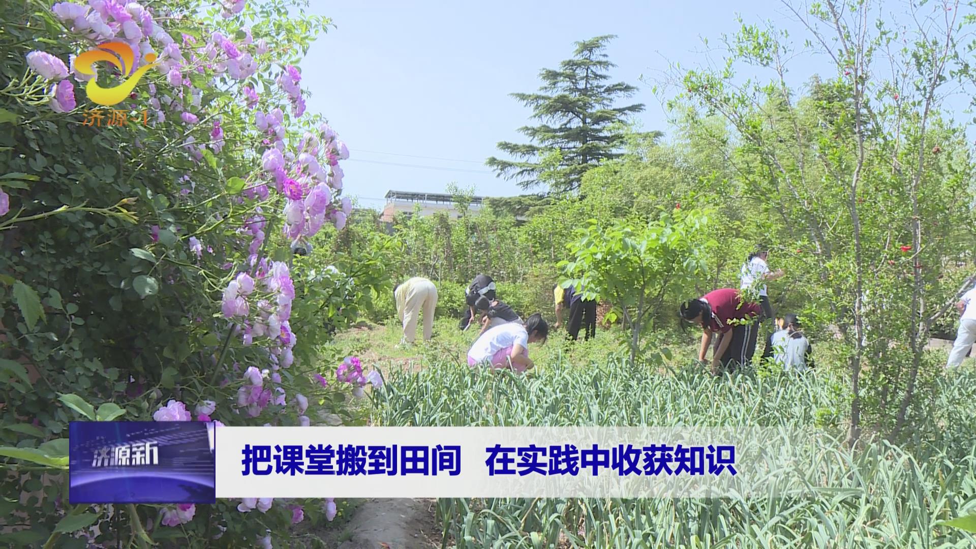 济源网