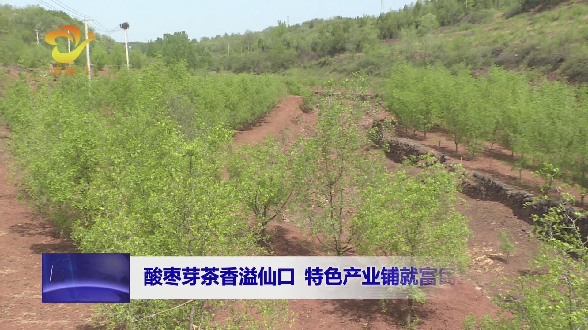 济源网