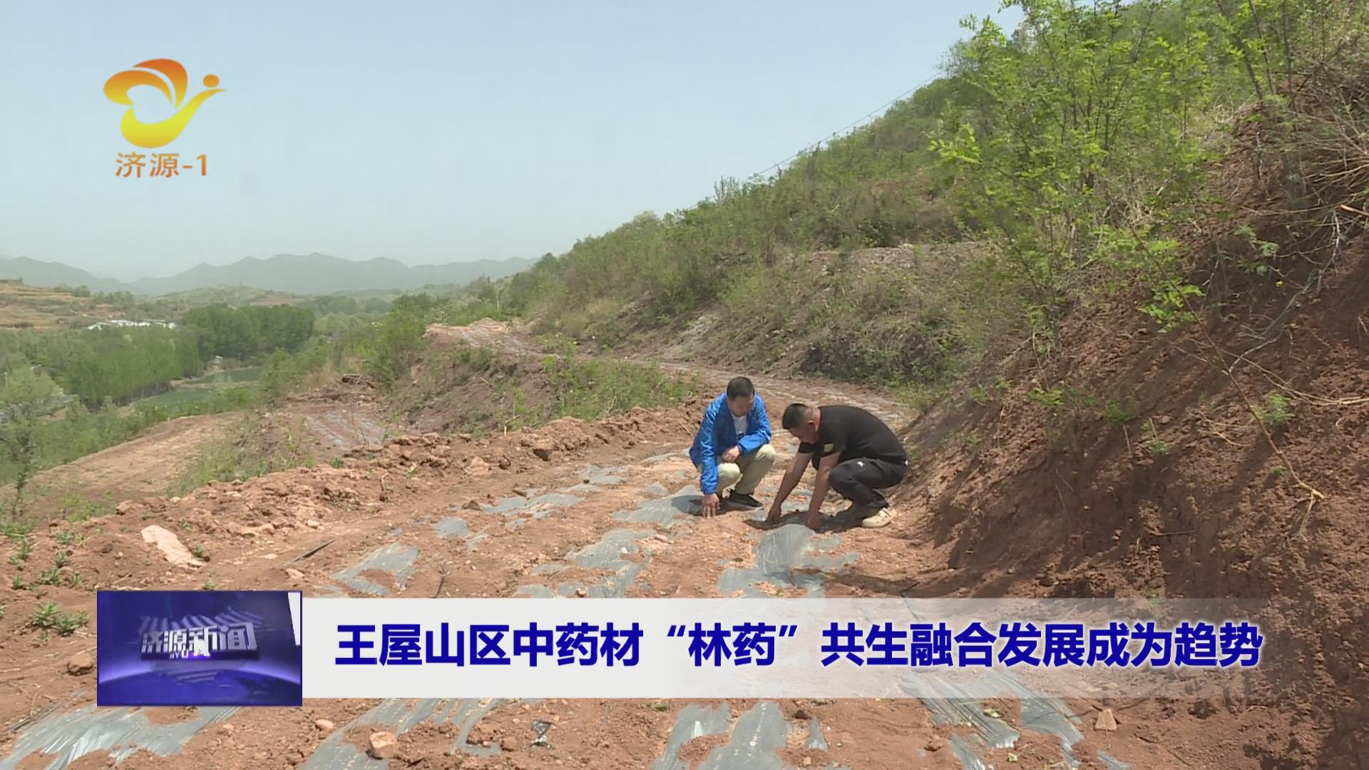 济源网
