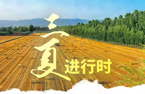 济源网