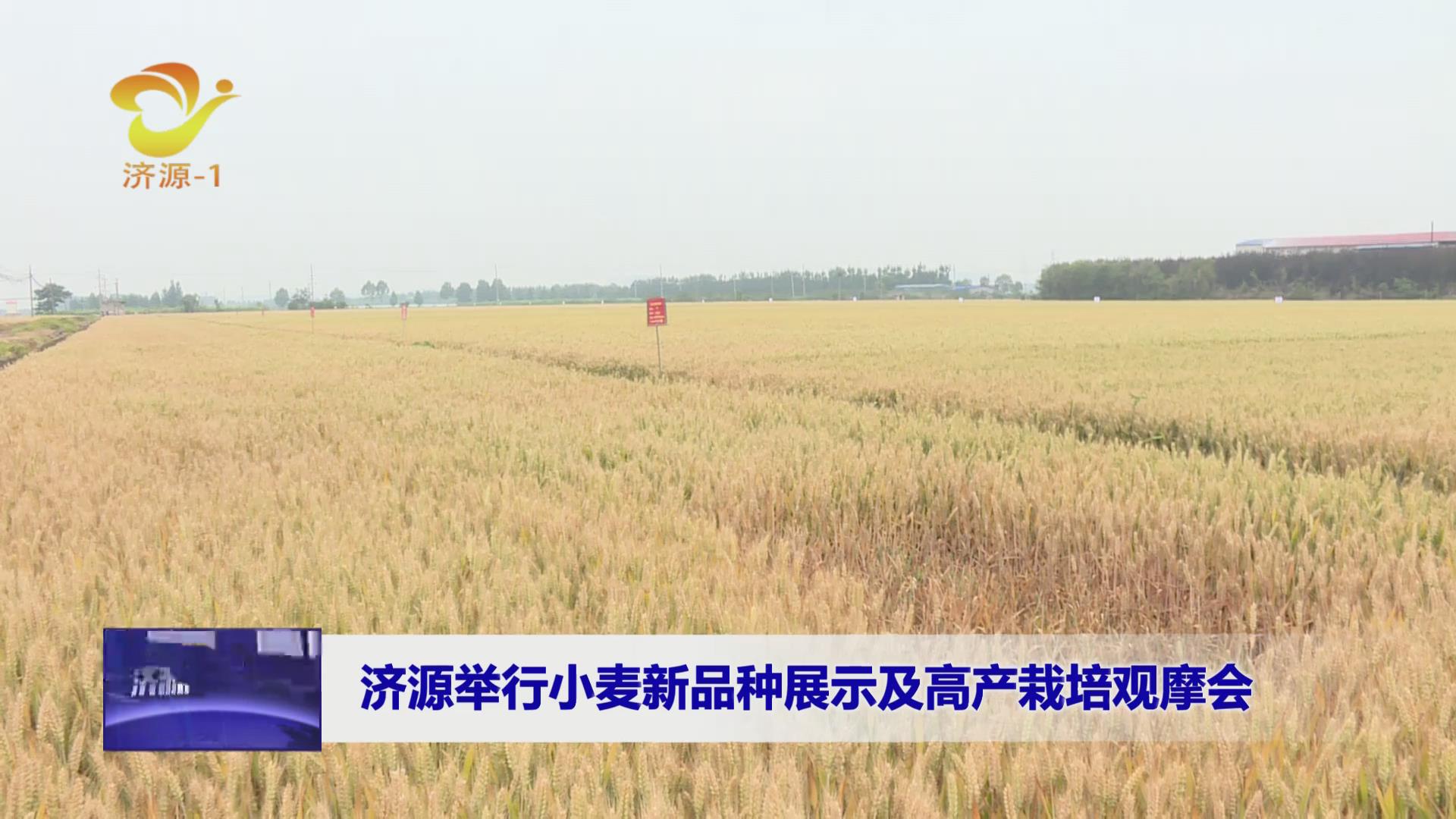 济源网