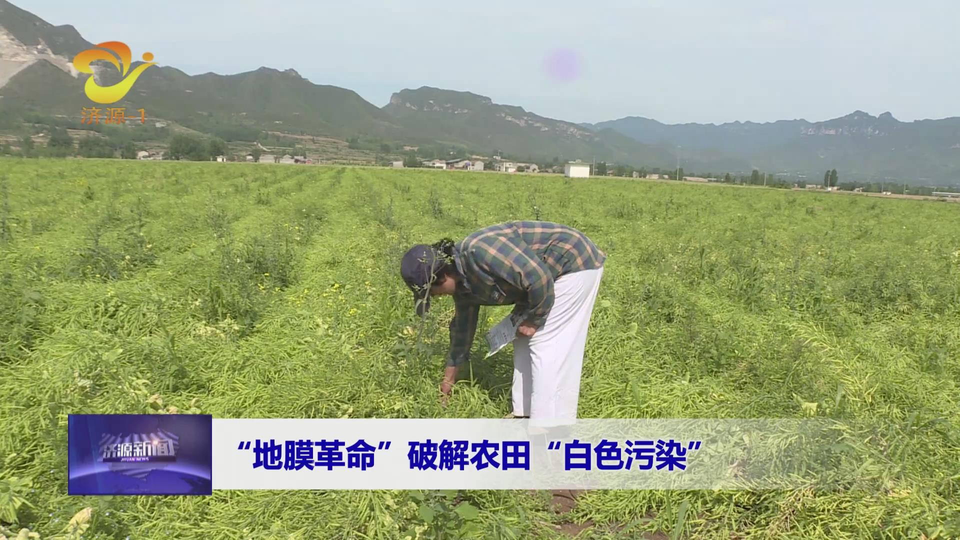 济源网