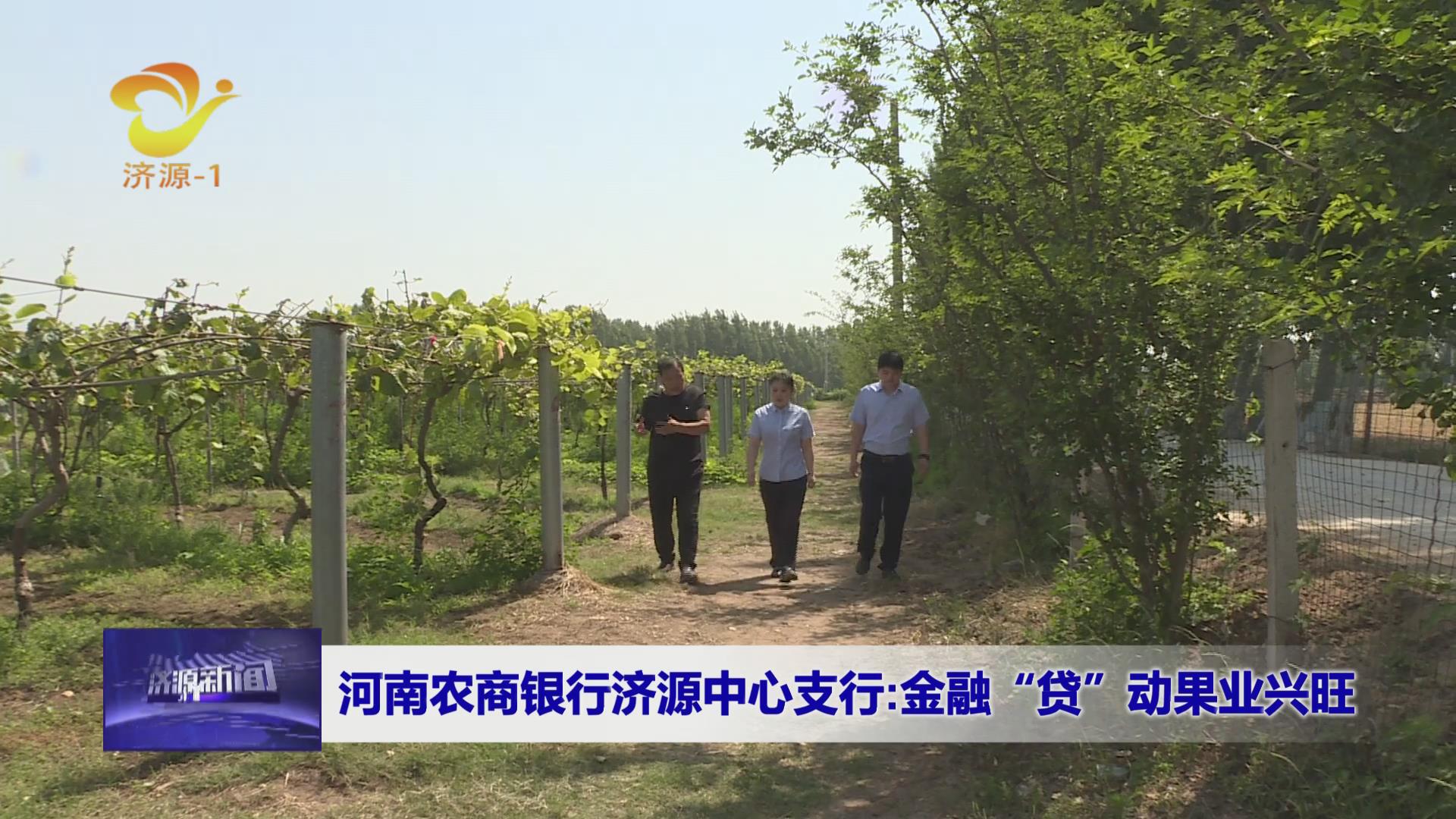 济源网