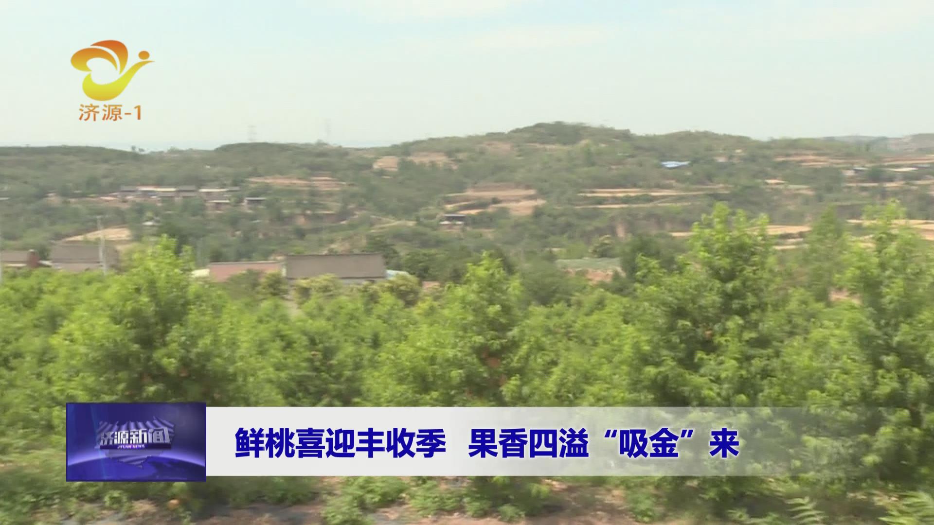济源网