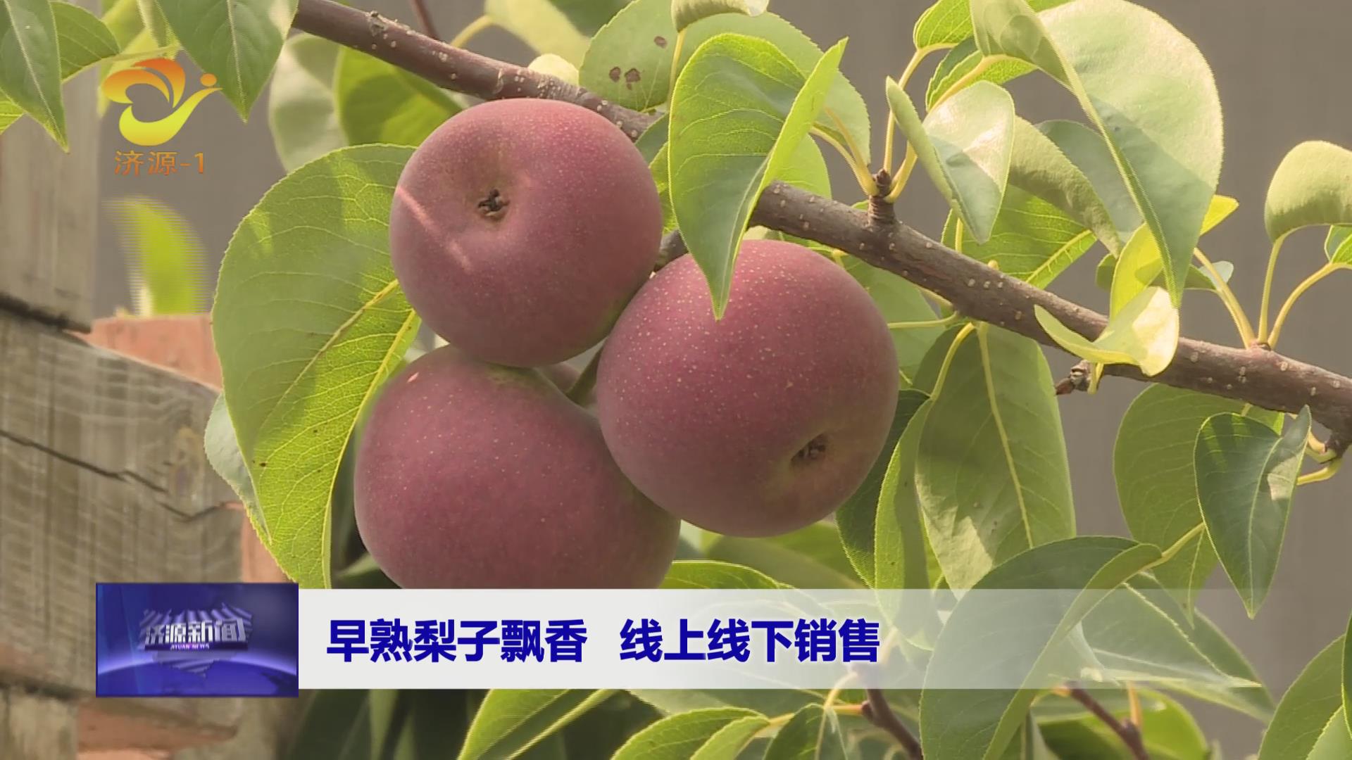 济源网