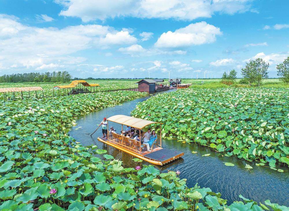 济源网