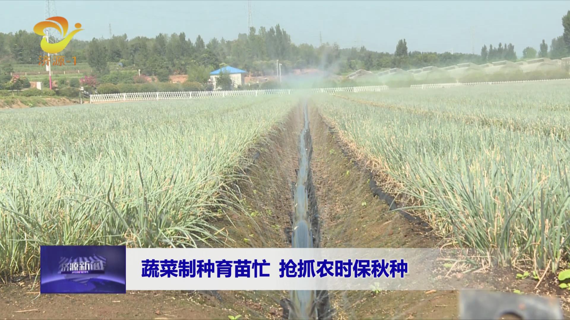 济源网