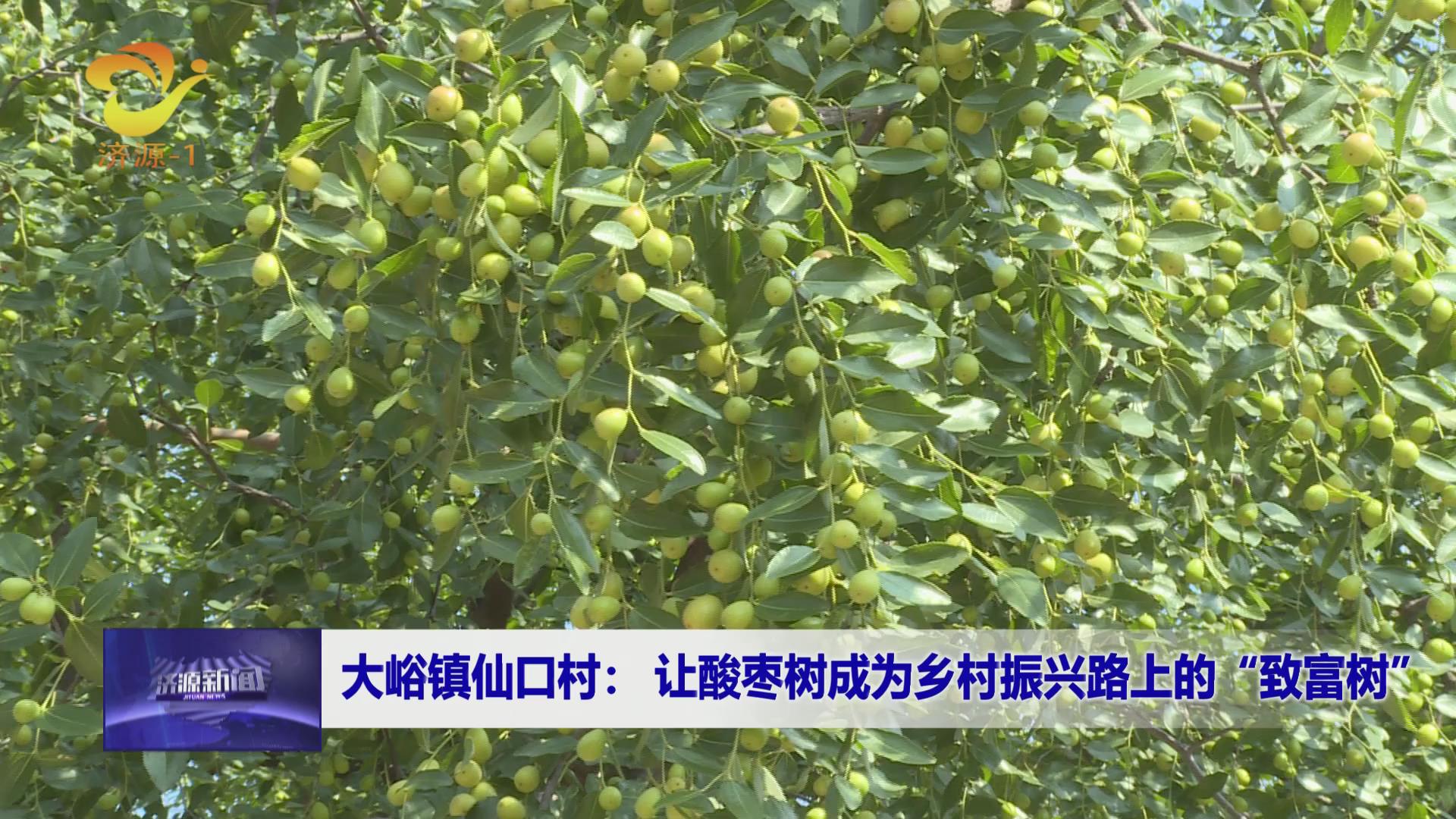 济源网