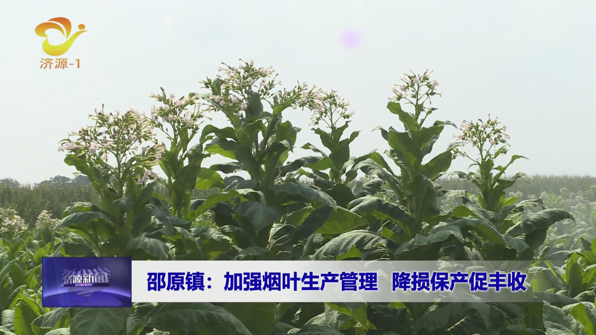 济源网