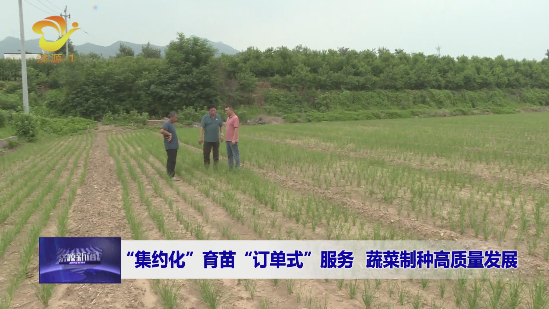 济源网