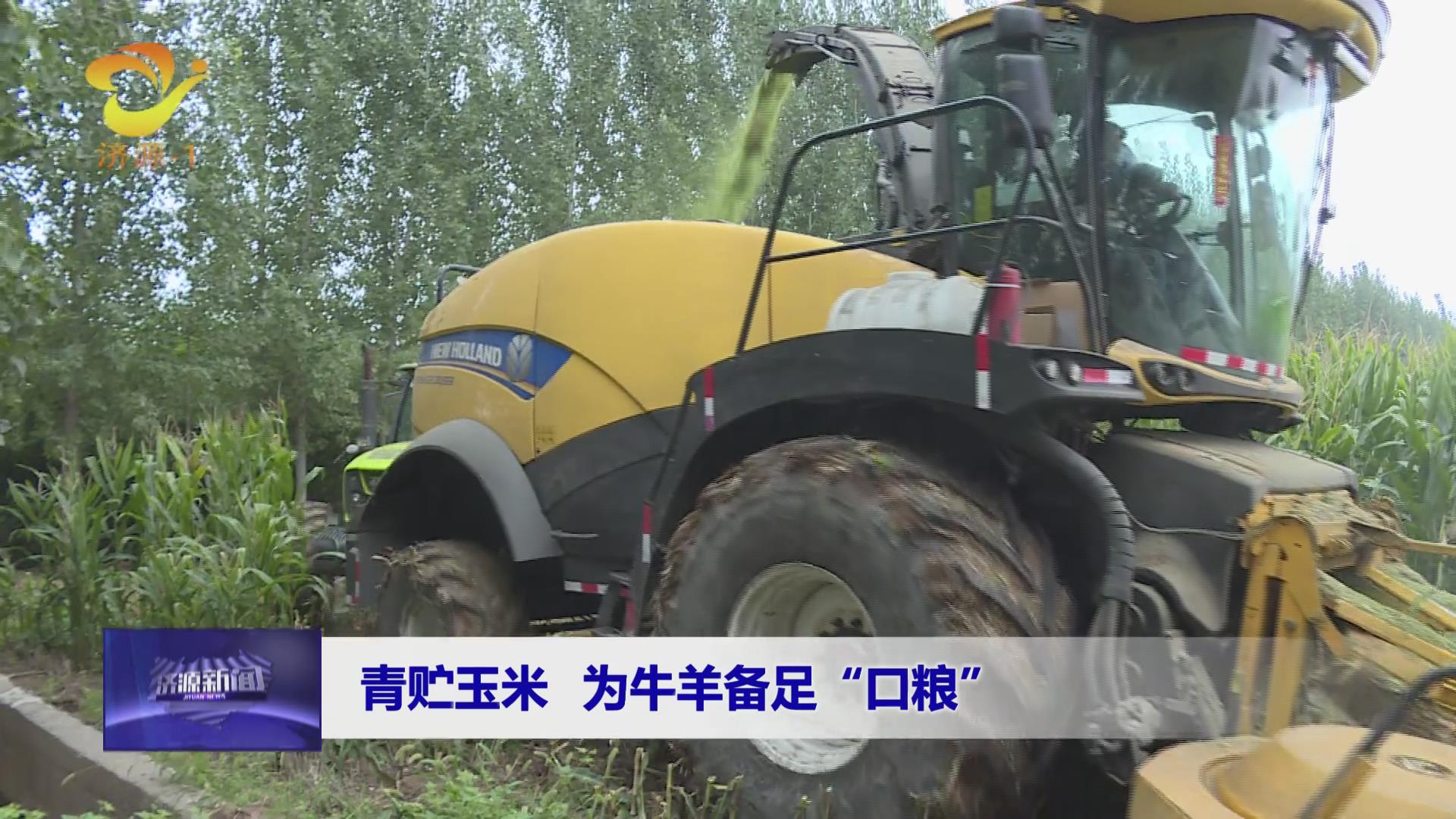 济源网