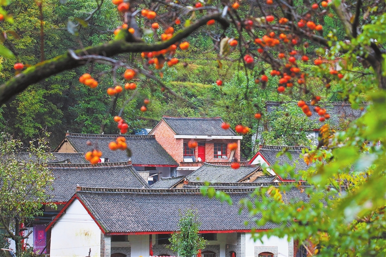 济源网