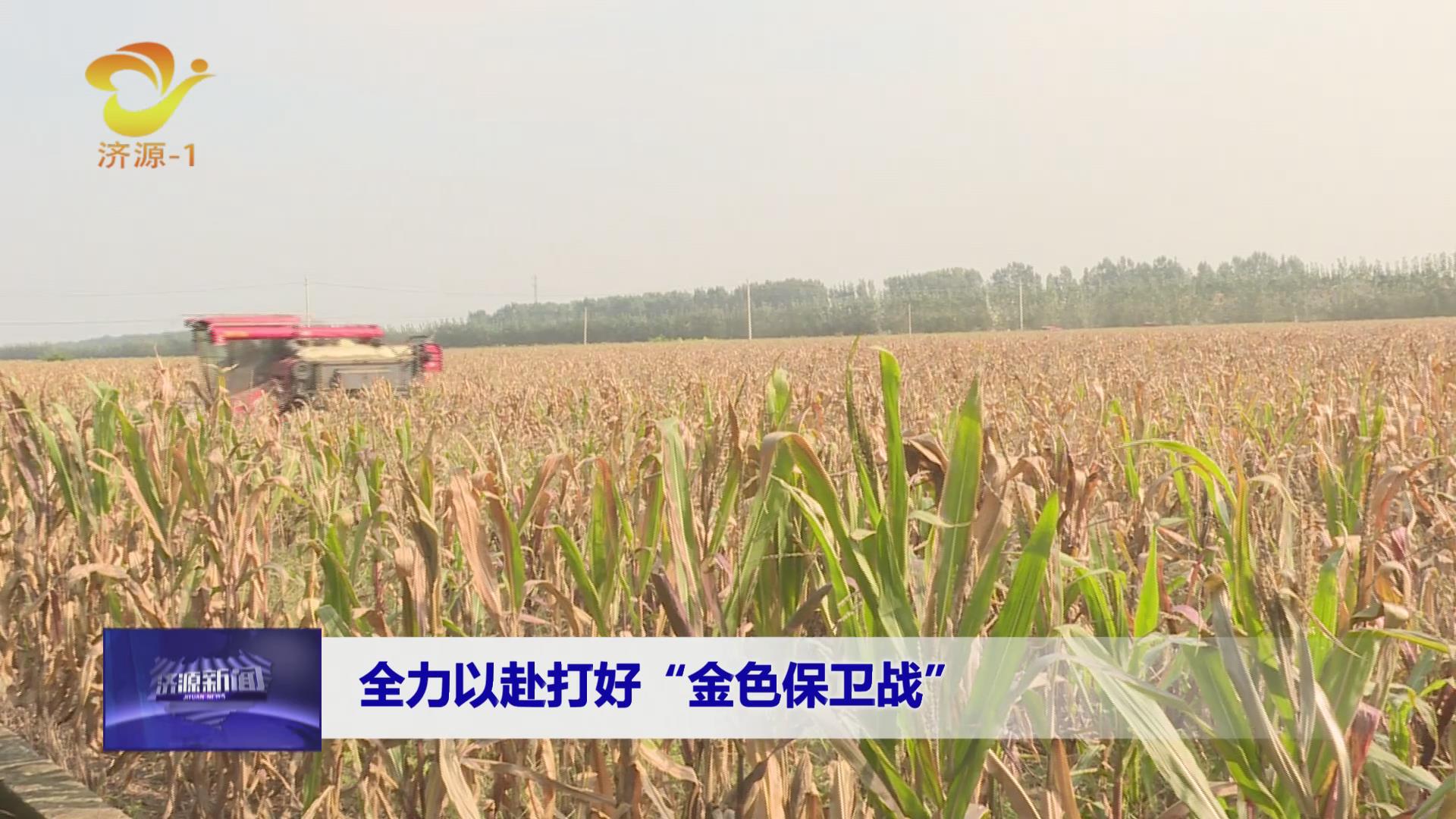 济源网