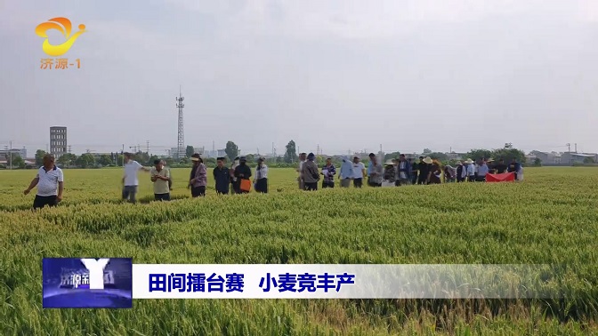 济源网