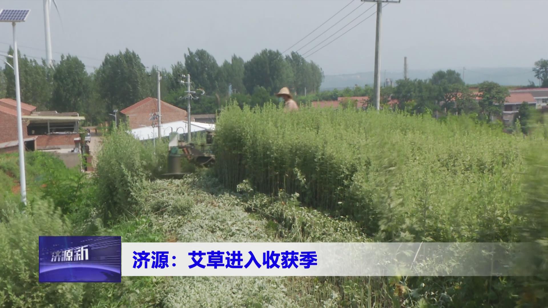 济源网