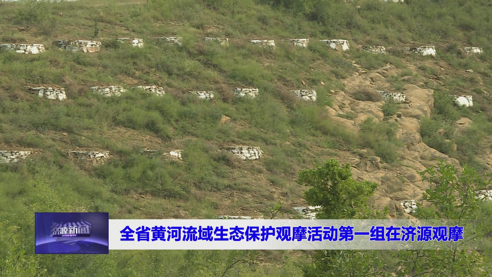 济源网