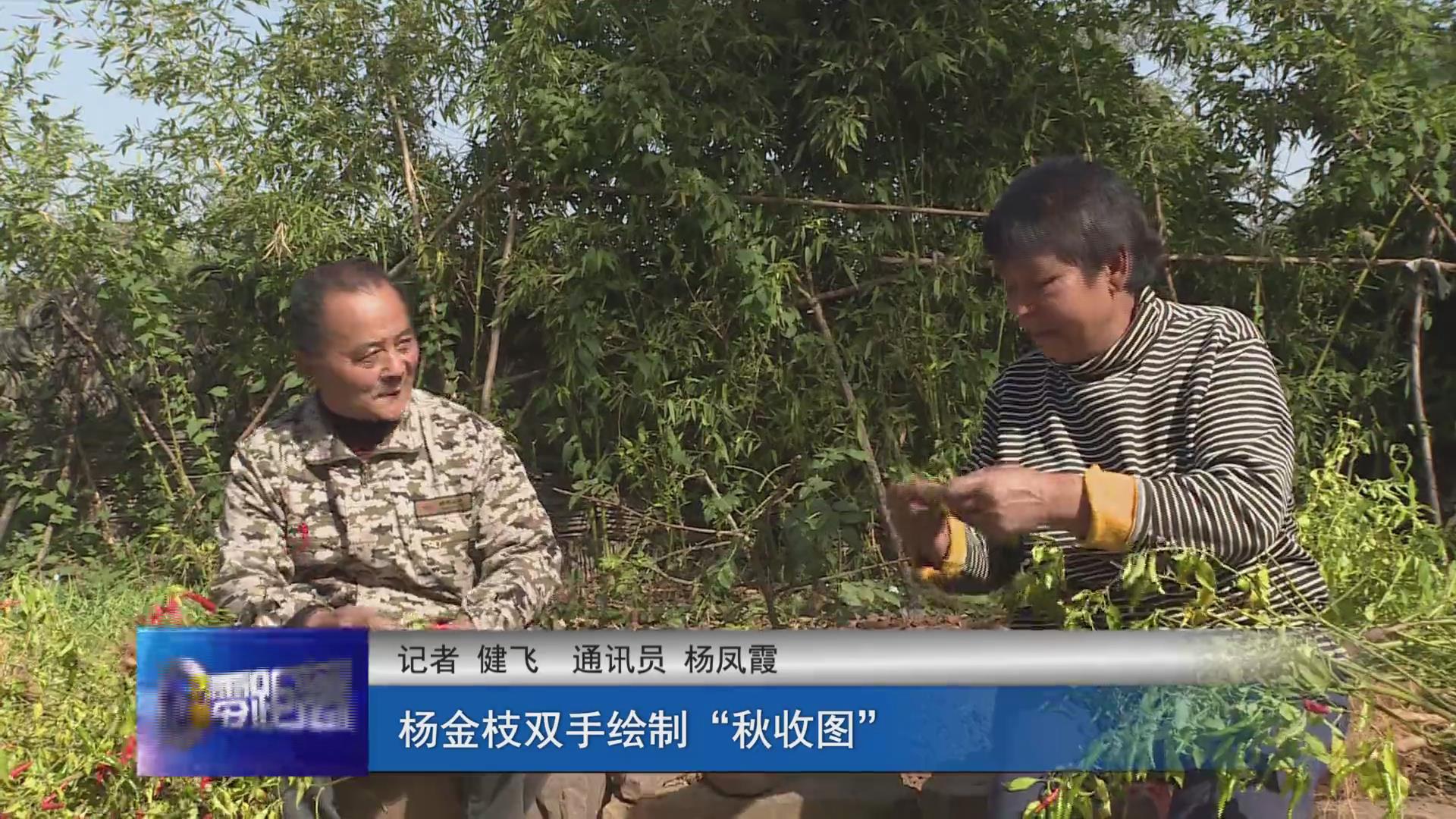 济源网
