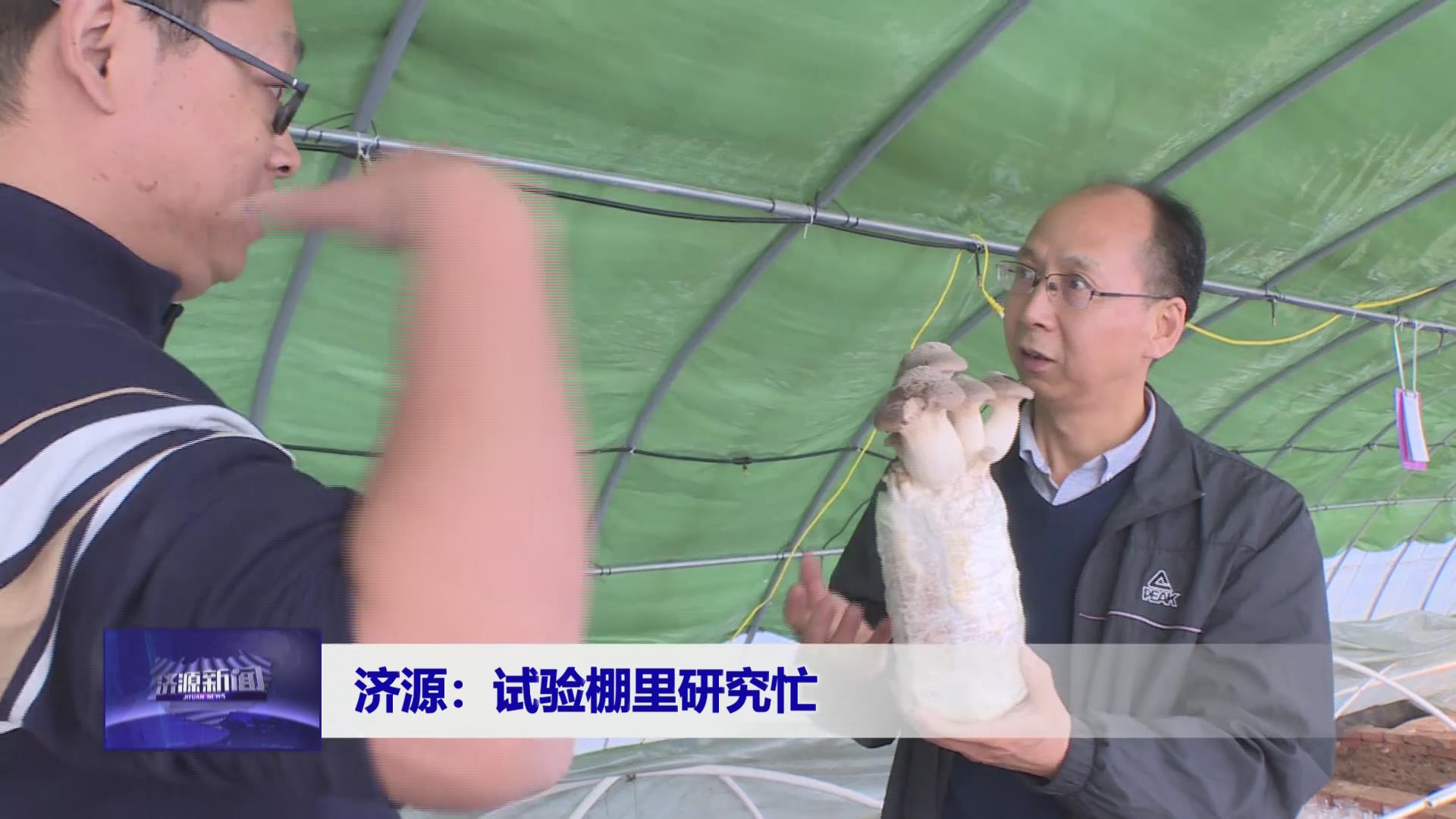 济源网