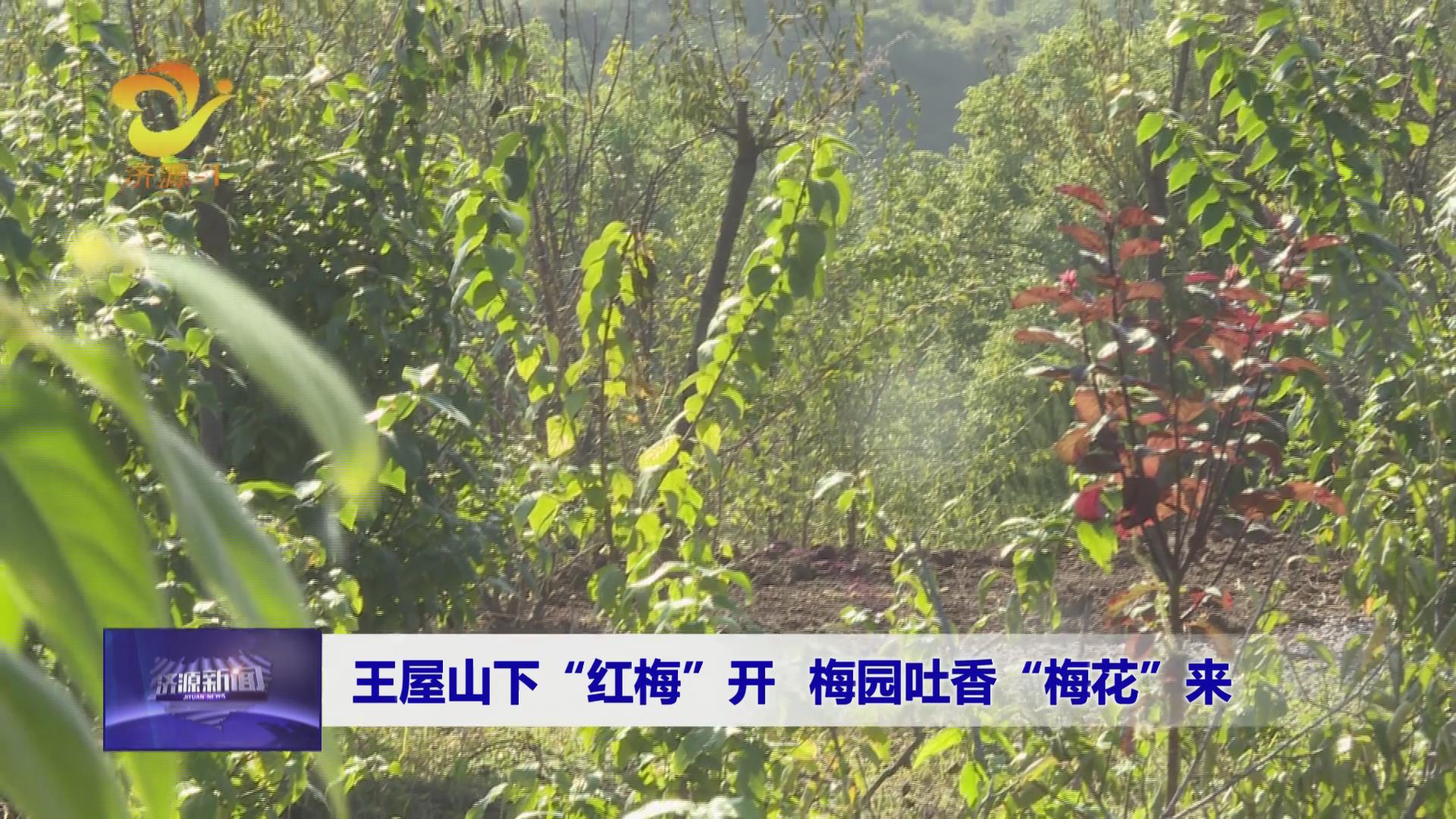 济源网