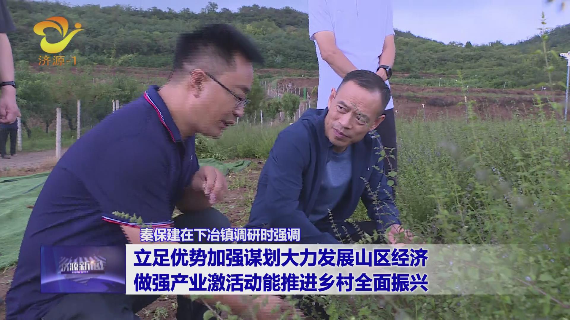 济源网