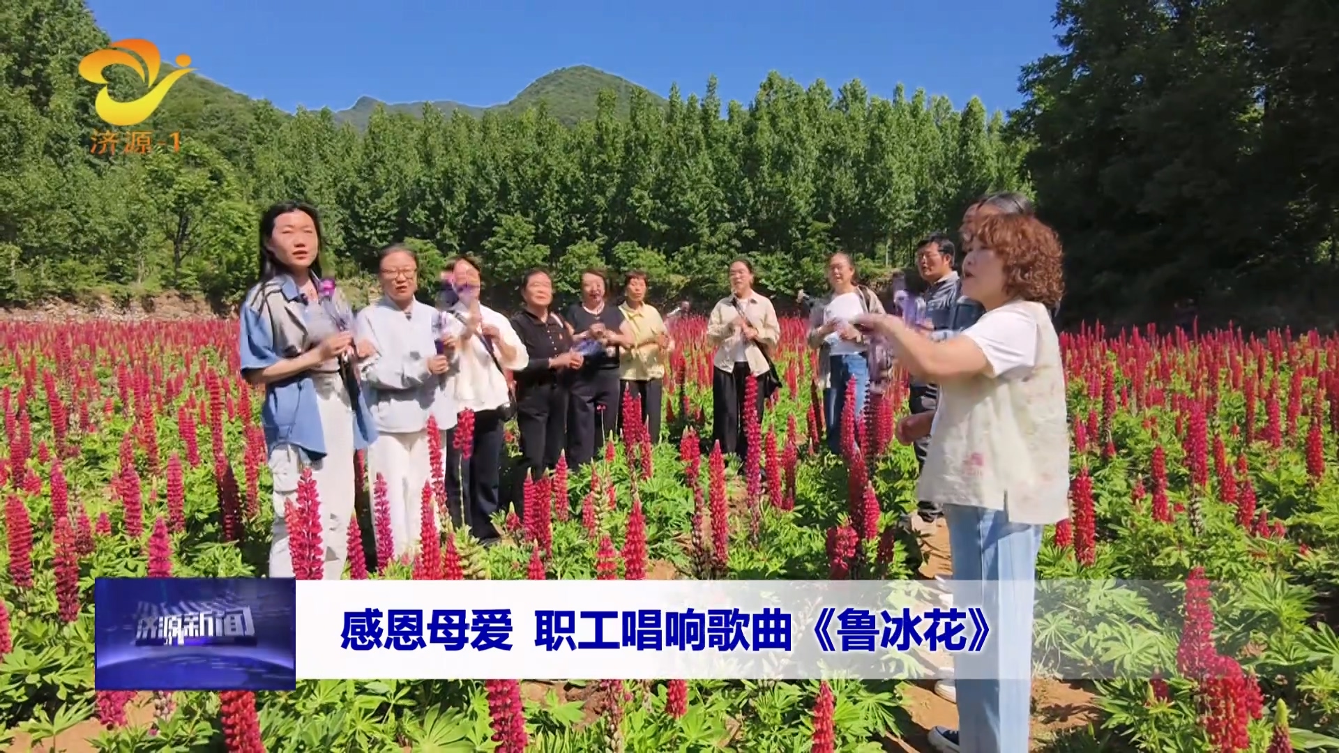 济源网